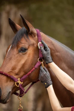Horze Elenor Women's Mesh Riding Gloves -Equestrian Supplies 31748 753 07