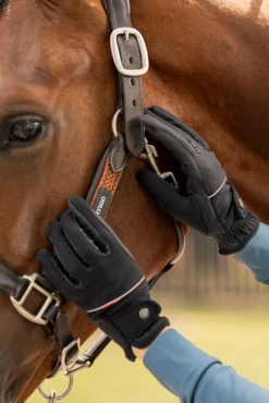 B Vertigo Rahel Winter Riding Gloves 11 B Vertigo Rahel Winter Riding Gloves -Equestrian Supplies 31758 085 06