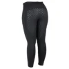 Dublin Performance Thermal Active Tight For Women