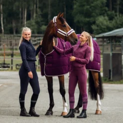 Horze Elinor Women's Cotton Riding Tights -Equestrian Supplies 36045 EDPU 6