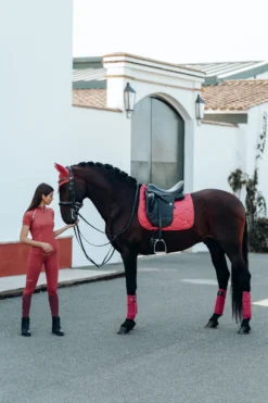 B Vertigo Adara Women's Silicone Full Seat Riding Tights With High Waist And Phone Pockets 28 B Vertigo Adara Women's Silicone Full Seat Riding Tights With High Waist And Phone Pockets -Equestrian Supplies 36692 MNRE 9