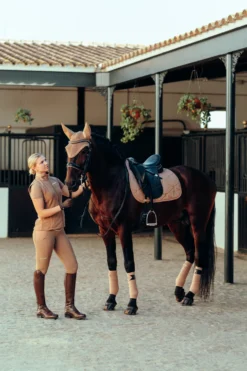 B Vertigo Adara Women's Silicone Full Seat Riding Tights With High Waist And Phone Pockets 37 B Vertigo Adara Women's Silicone Full Seat Riding Tights With High Waist And Phone Pockets -Equestrian Supplies 36692 TEBR 9