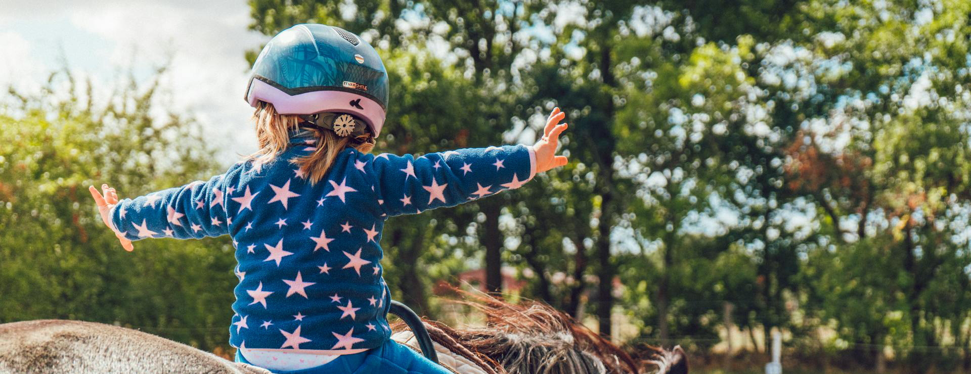 Equestrian Supplies 2 Equestrian Supplies -Equestrian Supplies pexels alexander dummer 37646 1364073